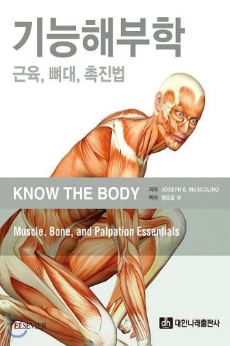 Know The Body: Muscle, bone, and palpation essentials
